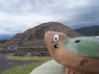 Tutuga2