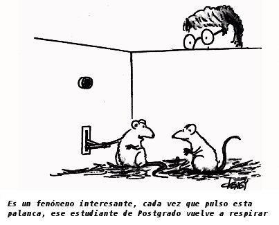 Rat Statistics