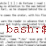 Bash